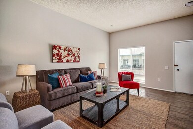 0006-Thunderbird (6)