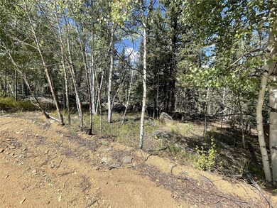 169 Ithaca Ln, Como, CO 80432 - photo 6