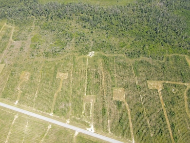 19597 NW Doug Price Rd, Blountstown, FL 32424 - photo 2