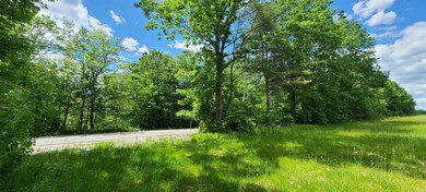 0 Old Turnpike & Off Old Turnpike Rd unit 4913789, Salisbury, NH 03268 - photo 6