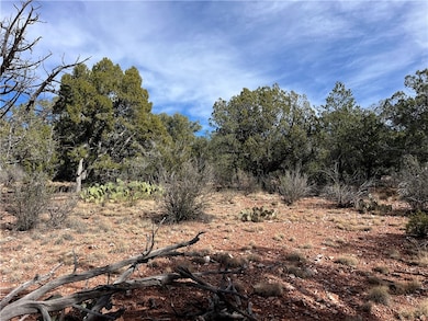 1022 Duffis Bluff Rd, Seligman, AZ 86337 - photo 5