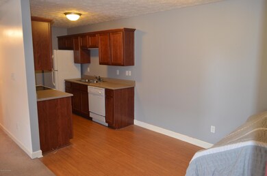 Dining Area/Kitchen