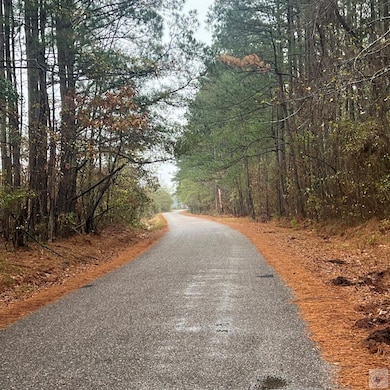 TBD Mc 226, Texarkana, AR 71854 - photo 2