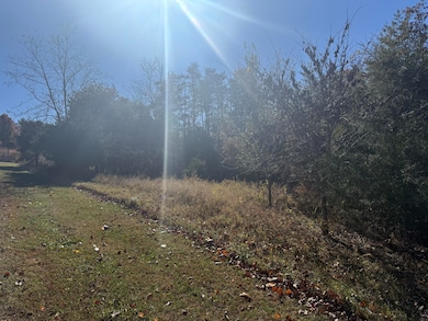 Lot 5 Edgewater Dr, North Shore, VA 24121 - photo 3