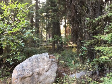 Located in Spring Mountain Ranch