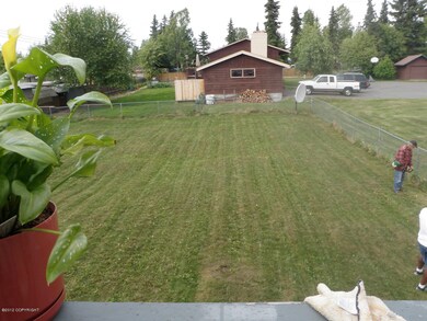 Back yard