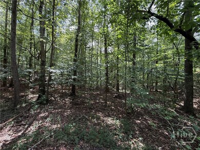 1276 Winns Lake Rd, Comer, GA 30629 - photo 4