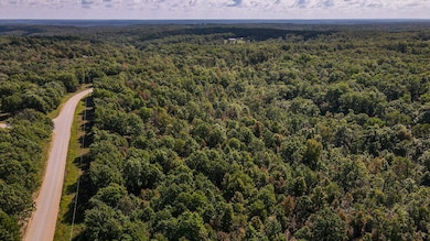 000 Winchester Ridge Rd, Tunas, MO 65764 - photo 3