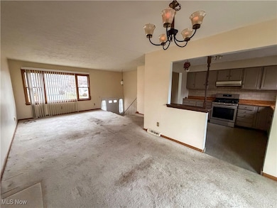 663 Meadowland Dr, Hubbard, OH 44425 - photo 4