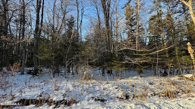 lot139&140 Bergrucken Ln, Readsboro, VT 05350 - photo 2
