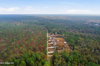 458 Old Richburg Rd, Purvis, MS 39475 - photo 5