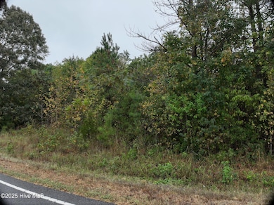 0 Red Oak Battleboro Rd unit 100534791, Battleboro, NC 27809 - photo 7