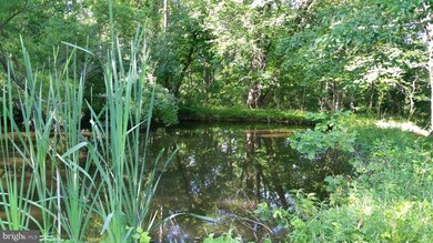 37786 Legard Farm Rd, Hillsboro, VA 20132 - photo 7