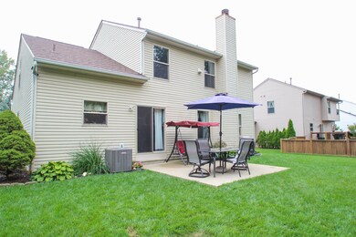 Backyard- 4