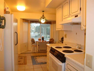 9727 W Lindgren Ave, Sun City, AZ 85373 - photo 6