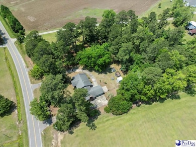 821 W Shirley Rd, Pamplico, SC 29583 - photo 7