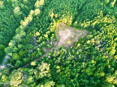 0 John I Hay Rd, Wesson, MS 39191 - photo 7