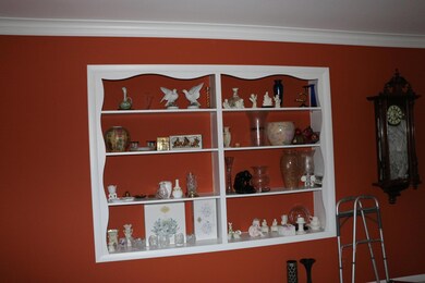 Living room built ins