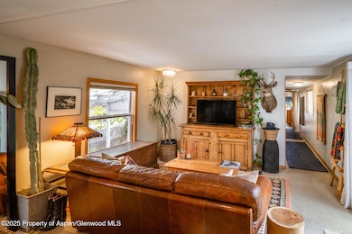 137 Ridge Trail, Aspen, CO 81611 - photo 5