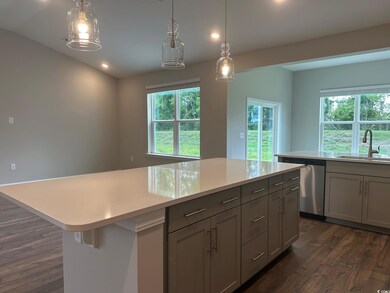 Kitchen with gray cabinets, dark wood-type floorin