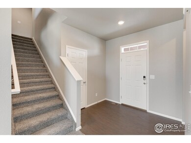 6915 Grainery Ct, Timnath, CO 80547 - photo 5
