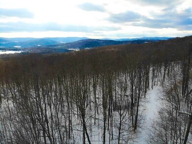0 Cushing Rd, Hartford, VT 05001 - photo 6