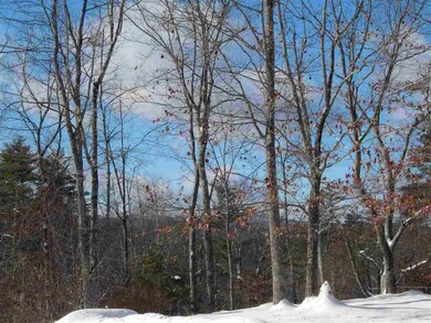 74 Route 127, Warner, NH 03278 - photo 4