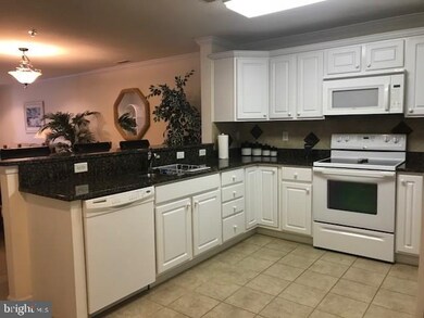 30413 Cedar Neck Rd unit 103, Ocean View, DE 19970 - photo 5