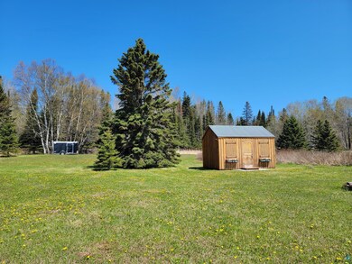 View of yard with a storage shed