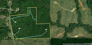 1300 Coosa County Road 71, Kellyton, AL 35089 - photo 4