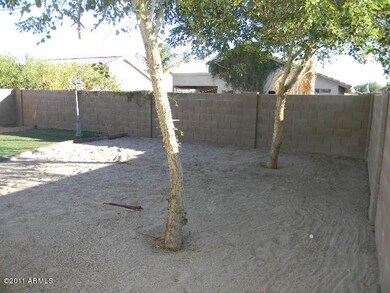 023-135678 Back 5
