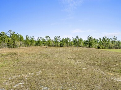 2-web-or-mls-DJI_0017