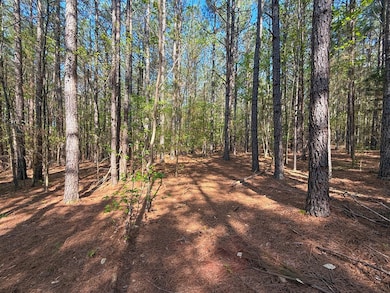 0 Piney Green Rd unit 57113, Nottoway, VA 23930 - photo 6