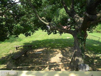 1008 Chillum Rd, Hyattsville, MD 20782 - photo 5