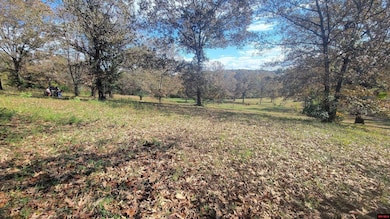 490-00001-008 Fox Chase Dr, Flippin, AR 72634 - photo 4