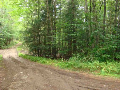 0 Chapel Hill Rd unit 58-49 4715081, Whitingham, VT 05361 - photo 2