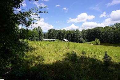 00 S Packs Mountain Rd, Taylors, SC 29687 - photo 3