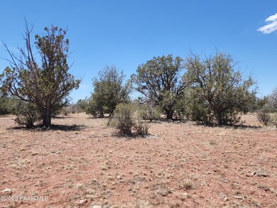 Lot 55 Juniperwood Ranch, Ash Fork, AZ 86320 - photo 3