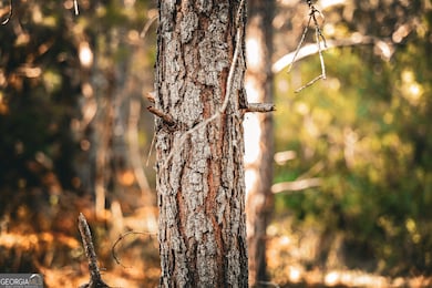 0 Camp Brooklyn Rd unit 10610288, Fitzgerald, GA 31750 - photo 4