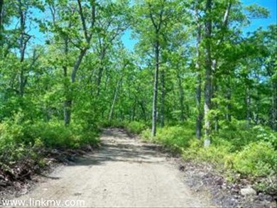 60 lot 3 Pepperbush Way, West Tisbury, MA 02568 - photo 4