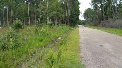 0 Hudson Street Extension, Pearl River, LA 70452 - photo 6