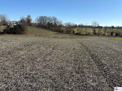 138 Owl Creek Dr, Vine Grove, KY 40175 - photo 3