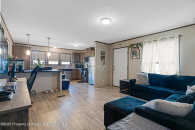 42 Silverton Place, Parachute, CO 81635 - photo 4