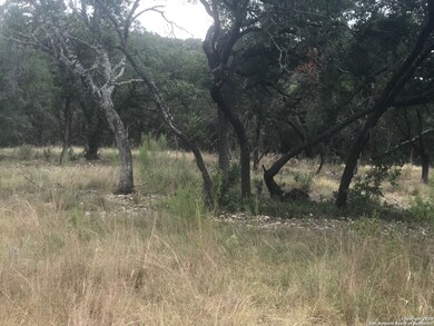 20307 Bobwhite Run, San Antonio, TX 78256 - photo 3