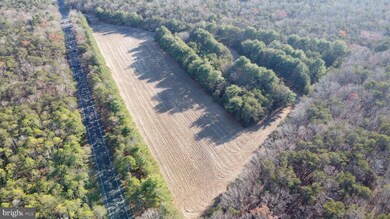 0 Route 347 and Carlisle Place Rd unit NJCB2027664, Dorchester, NJ 08316 - photo 6