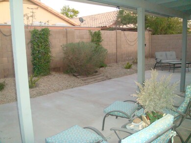 Easy care desert landscap in back