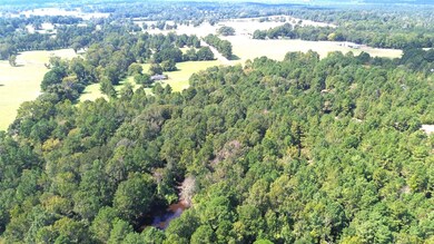 7405 County Road 1830, Crockett, TX 75835 - photo 6