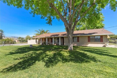 Tree provides a shady front of the house