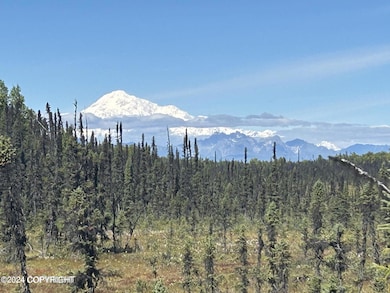 21682 S Surprise Cir, Trapper Creek, AK 99683 - photo 7