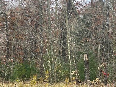 40 Acres Dragonfly Rd, Tomah, WI 54660 - photo 2